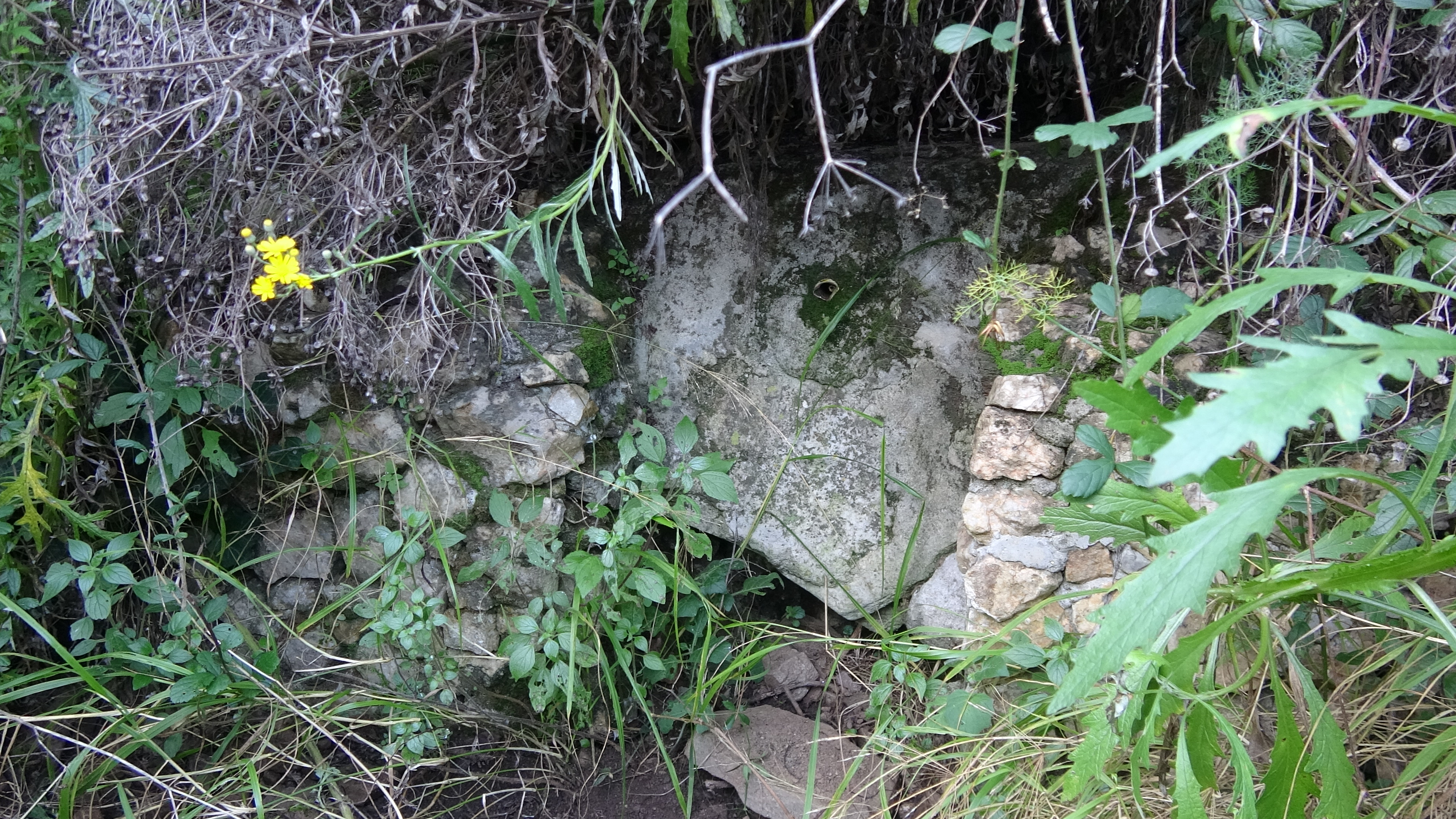 Font de la Cabra