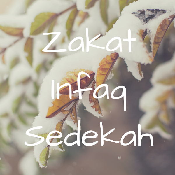 Apa sih perbedaan zakat, infaq dan sedekah?