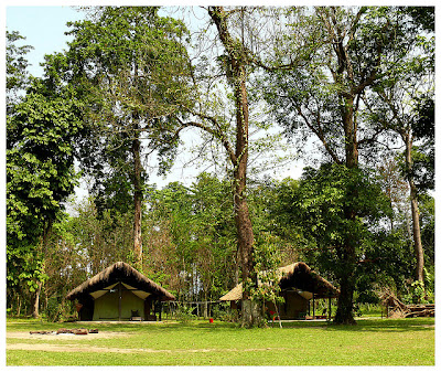 nameri national park