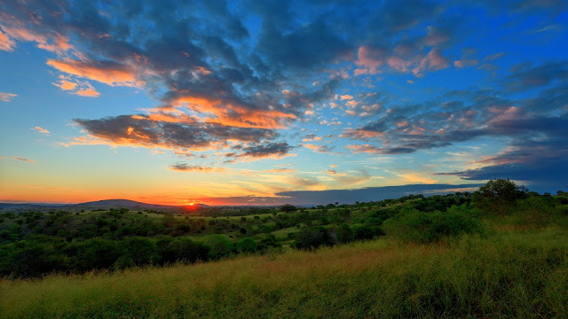 Hermoso Atardecer en el Campo