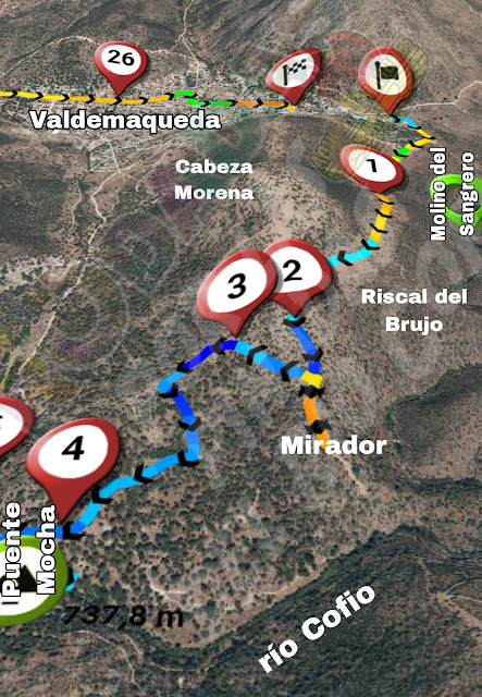 pinares-del-río-Cofio-en-valdemaqueda-en-bicicleta