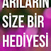 Arıların Size Bir Hediyesi Var 