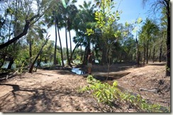 mataranka fall2