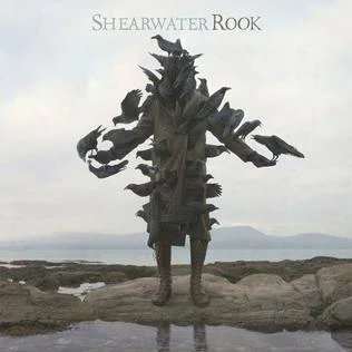 ALBUM: portada de "Rook" de la banda Shearwater