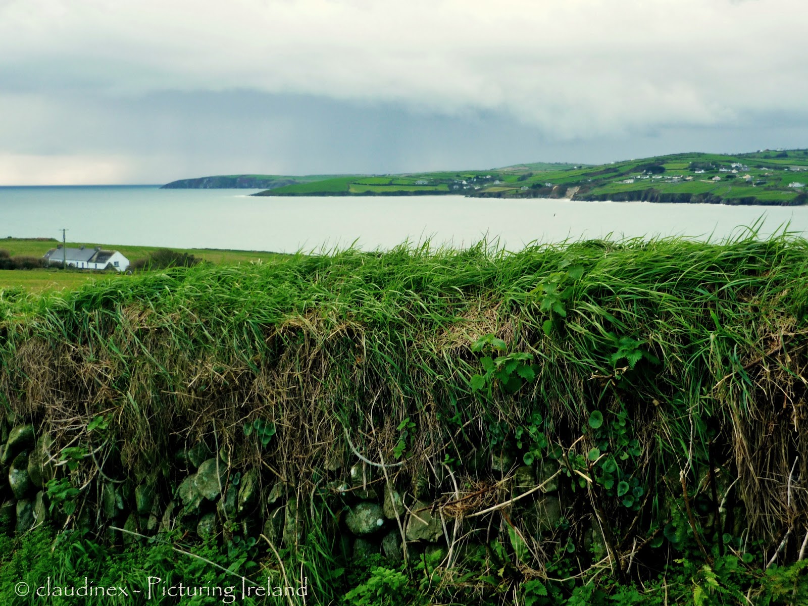 types of flowers you can dry Picturing Ireland : The stone walls of Ireland | 1600 x 1200