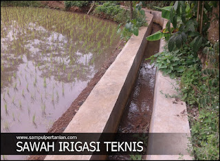 PENGERTIAN SAWAH IRIGASI TEKNIS