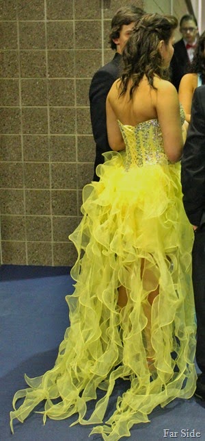 Back of the gown two