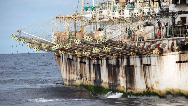 Pesca ilegal chinesa rouba bilhões de dólares