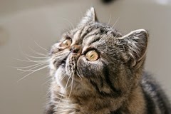 IMG_5710