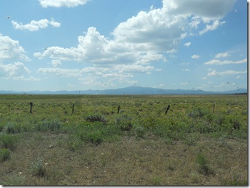 DSCN3126