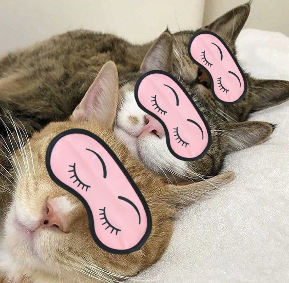 Cat time (hora del gato)