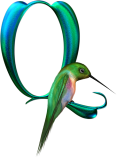 Abecedario de Colibrí. Hummingbird Alphabet.