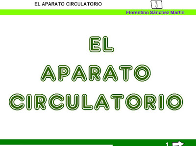 http://www.ceiploreto.es/sugerencias/cplosangeles.juntaextremadura.net/web/sexto_curso/naturales_6/apa_circulatorio_6/apa_circulatorio_6.html