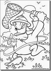 pato_donald_disney_desenhos_pintar_imprimir19