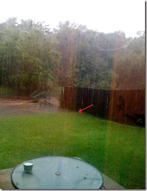 rising waters