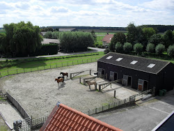 Buitenpaards.nl