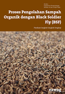 Proses Pengolahan Limbah Organik dengan Black Soldier Fly - REEDNIV