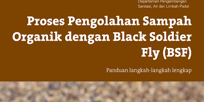 Proses Pengolahan Limbah Organik dengan Black Soldier Fly