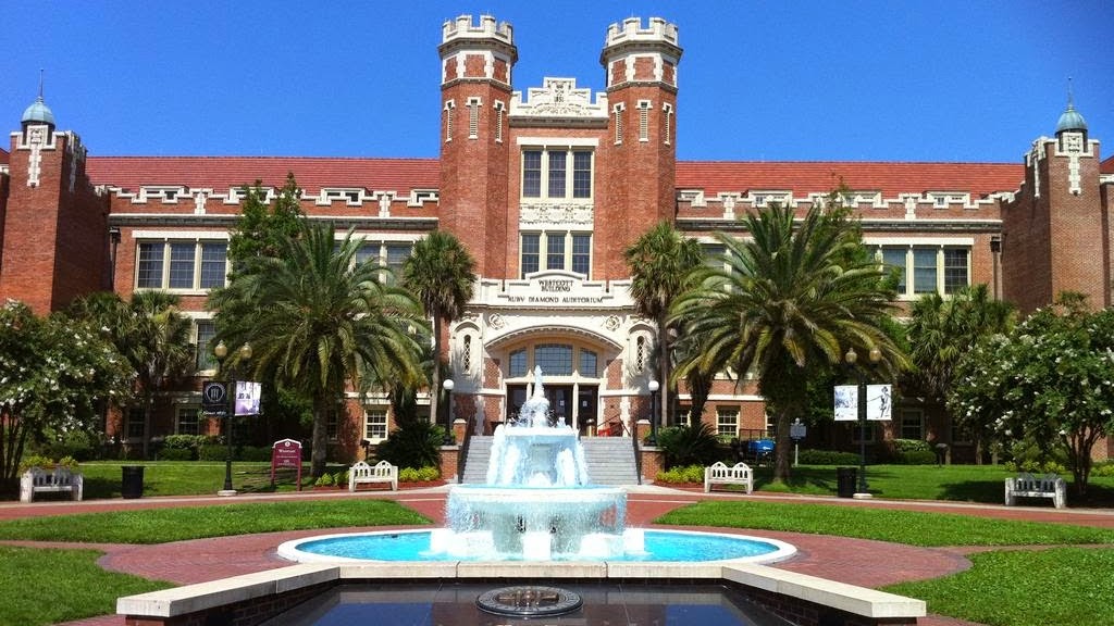 University Of Florida - University Of Florida Majors