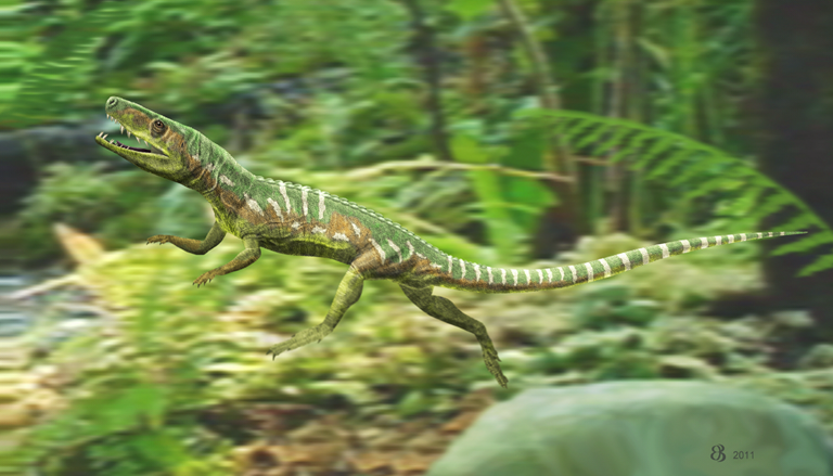 Euparkeria. ("buen animal de Parker", llamado así en honor a W.K. Parker) es un género extinto de arcosauriforme del Triásico Medio de Sudáfrica. Era un pequeño reptil que vivió hace entre 245 y 230 millones de años, y estaba cerca de la ascendencia de Archosauria, el grupo que incluye dinosaurios, pterosaurios, aves y cocodrilos.