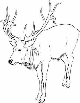 Christmas Reindeer Coloring Pages 