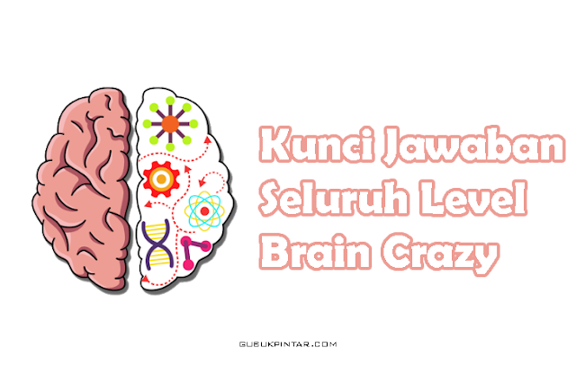 Kunci Jawaban Brain Crazy
