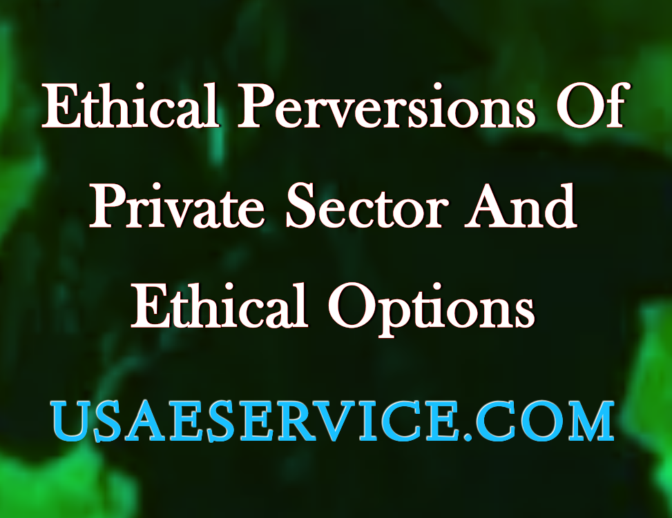 Ethical Perversions Private Sector Ethical Options