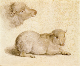 Study of Resting Lamb and Head of Lamb by Hans Holbein the Younger