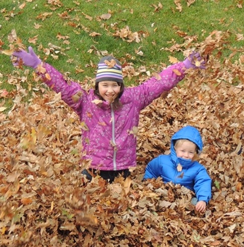 Huge Leafpile
