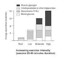 exercise to burn fat