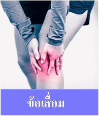 ข้อเข่าเสื่อม / อักเสบ