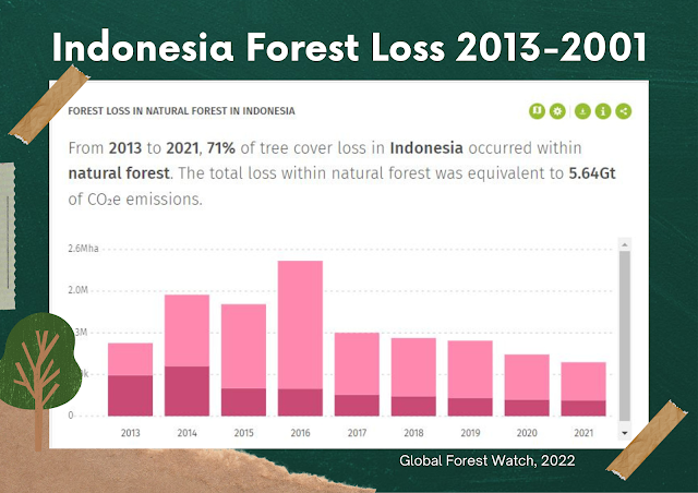 indonesia forest loss