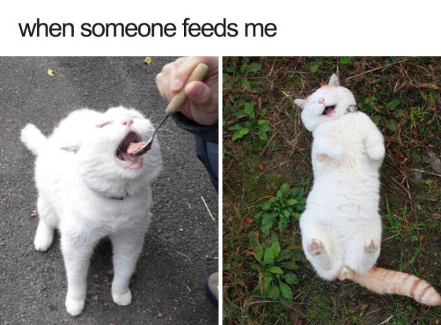 When someone feeds me.