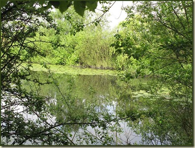 0204pond