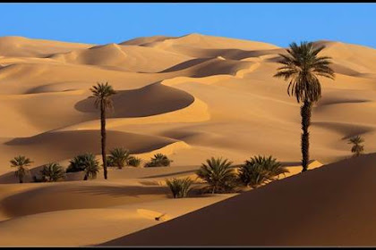 Pemandangan Gurun Sahara