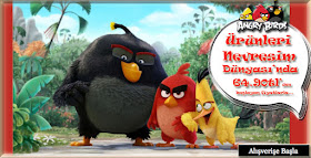  Angry Birds AB-04 Ranforce Tek Kişilik Nevresim Takımı