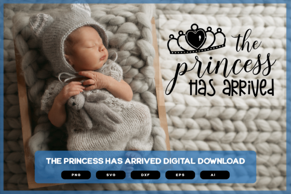 Cricut File Baby Onesies | the Princess Has Arrived use them with your Cricut machine to make some adorable fall crafts! #svg #svgfile #freesvg #pumpkin #fall #cricut