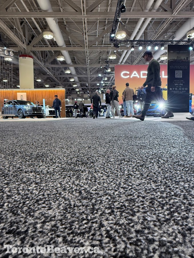 Cadillac Display At Toronto Auto Show... A Beaver's Perspective