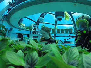 Underwater Farm, Inovasi Bercocok Tanam di Dalam Laut yang Memukau