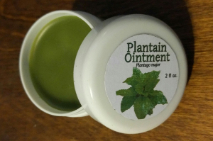 https://www.etsy.com/listing/293822171/plantain-ointment