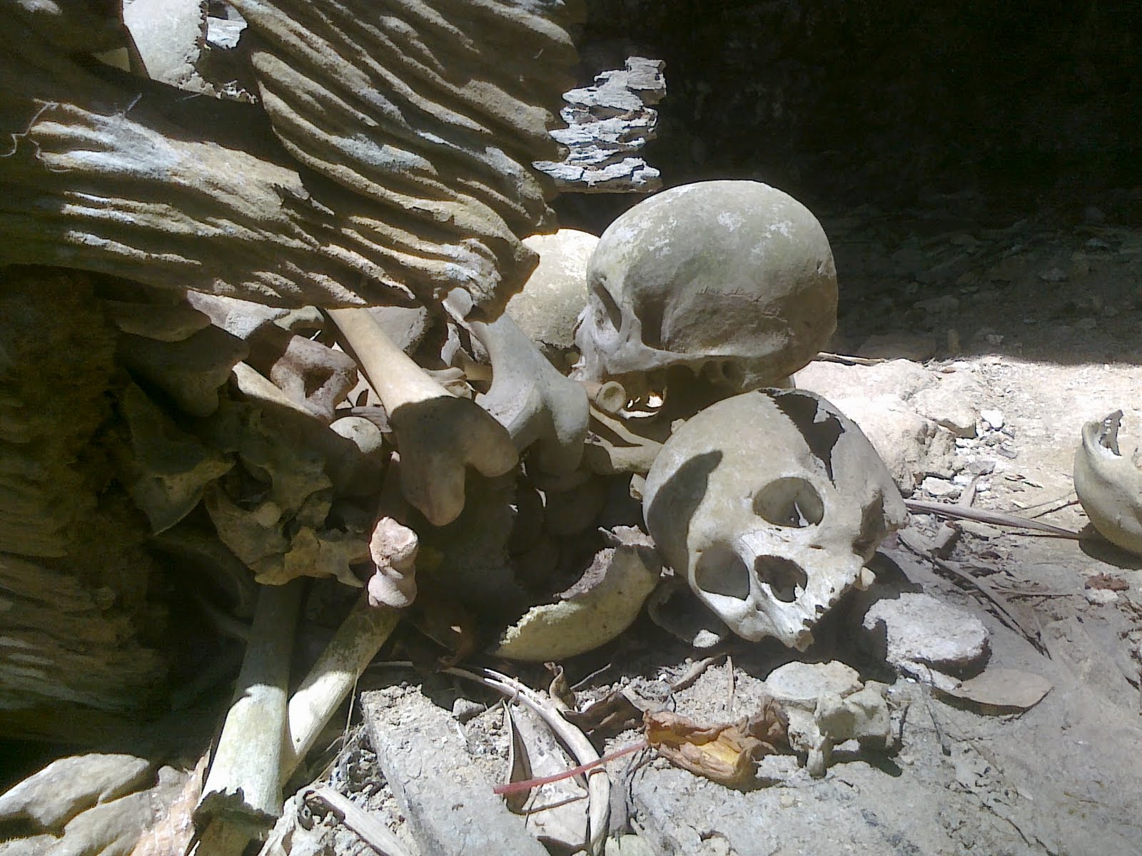 Si Gembel Bodoh: Ini di Toraja, Day II