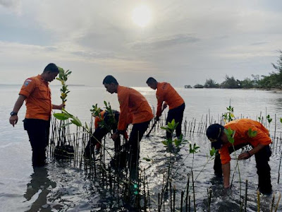 HUT Basarnas Ke 51, Kantor SAR Tanjung Pinang Tanam 200 Bibit Bakau