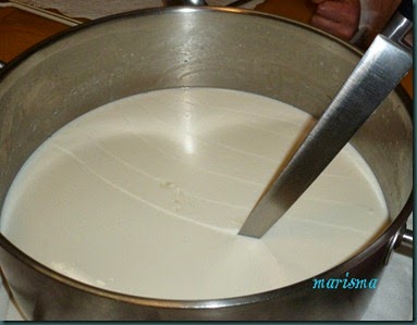 queso fresco15 copia