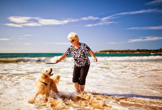 An older woman and her dog paddling and playing on the beach