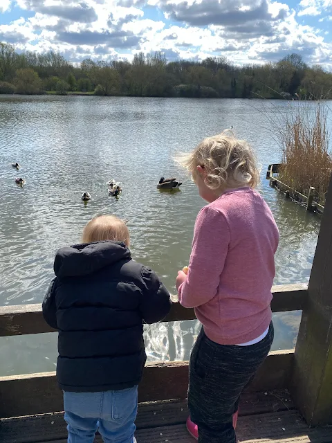 Children on a wooden platform looking at ducks in a lake