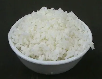 rice-rogan-josh