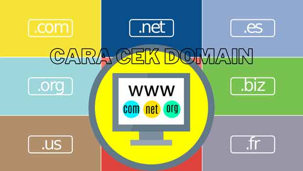 cara cek dan strategi memilih nama domain