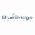 Software Engineer  at Blue Bridge Solutions
