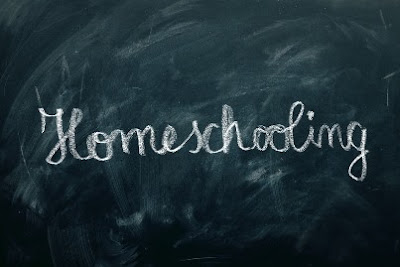 Online School Or Home School?