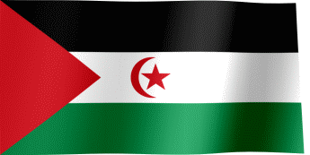 The waving flag of the Sahrawi Arab Democratic Republic (Animated GIF)